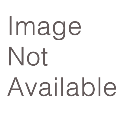 [Duplicate] The Safe Routes to School (SRTS) Mini Grant Request for Proposals (RFP) for the 2026-2027 school year is now open